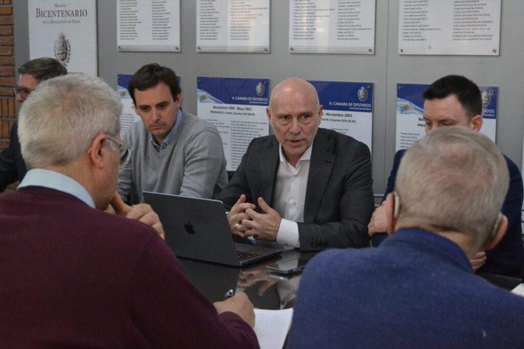 Garay Cueli se presentó en la comisión de Legislación y Asuntos Constitucionales