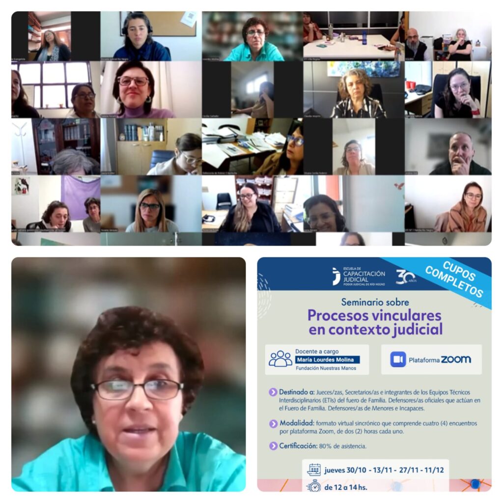 Seminario sobre Procesos Vinculares en Contexto Judicial