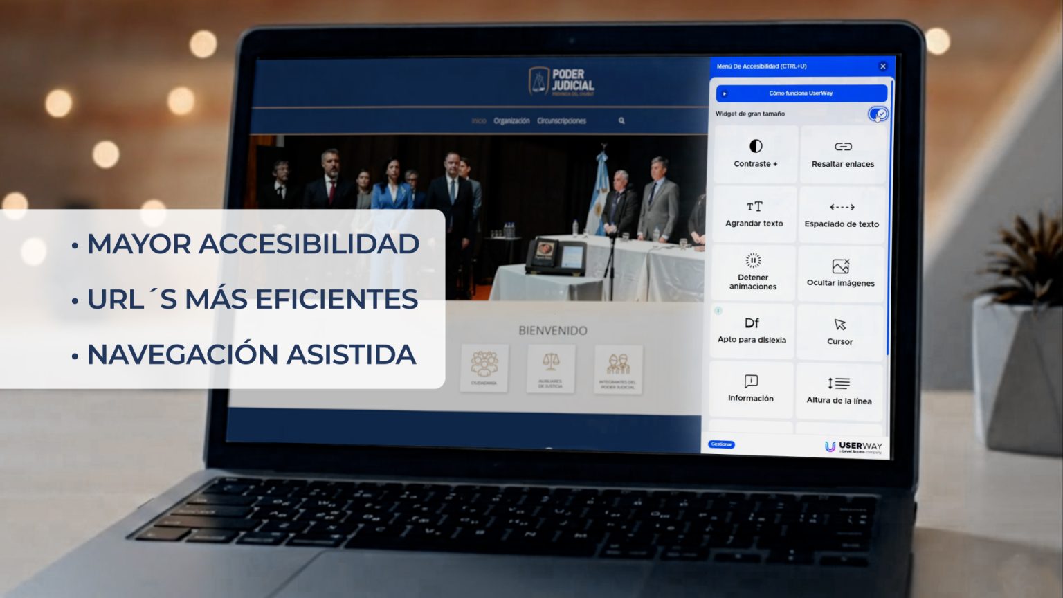 Nuevo portal web institucional